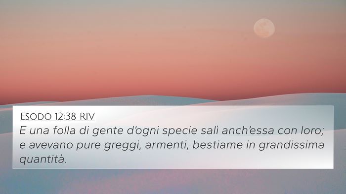 Esodo 12:38 RIV Bible Verse Image
