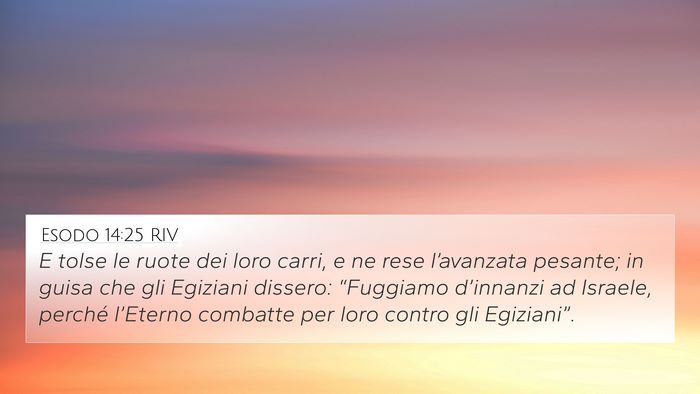 Esodo 14:25 RIV Bible Verse Image