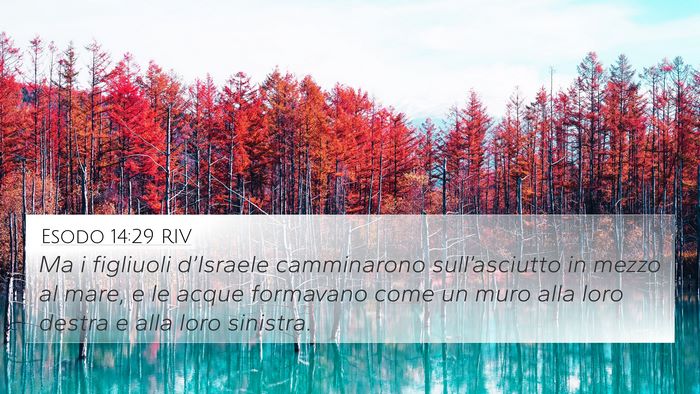 Esodo 14:29 RIV Bible Verse Image
