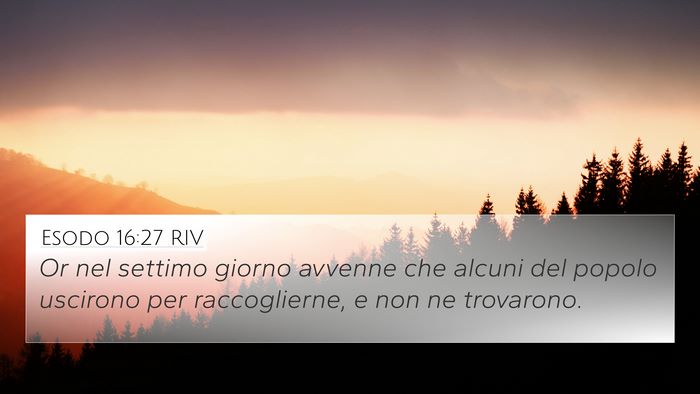 Esodo 16:27 RIV Bible Verse Image