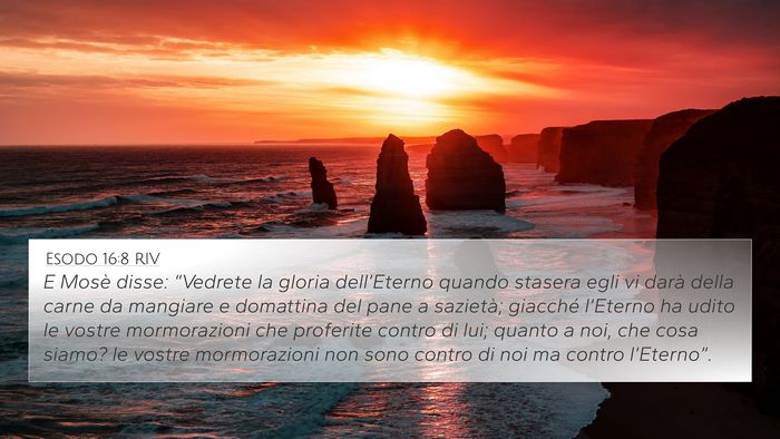 Esodo 16:8 RIV Bible Verse Image
