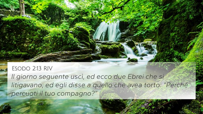 Esodo 2:13 RIV Bible Verse Image