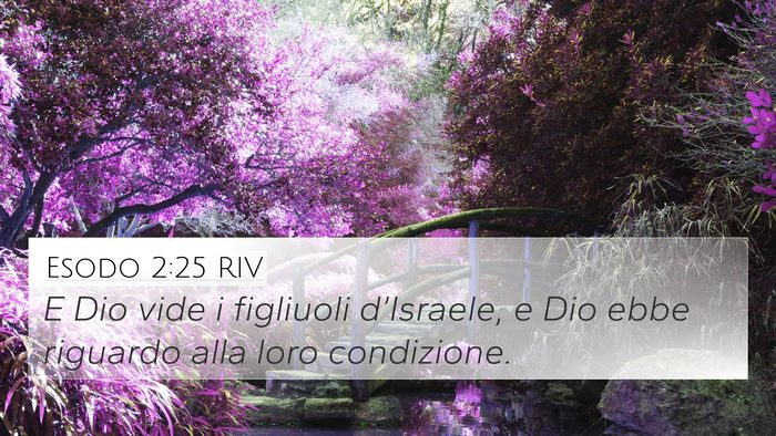 Esodo 2:25 RIV Bible Verse Image
