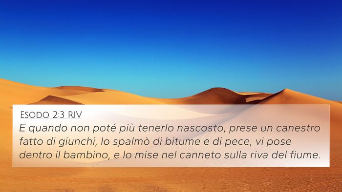 Esodo 2:3 RIV 4K Wallpaper - E quando non poté più tenerlo nascosto, prese - 4K Wallpaper Bible Verse