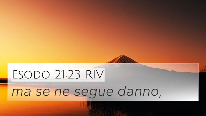 Esodo 21:23 RIV Bible Verse Image