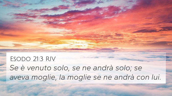 Esodo 21:3 RIV 4K Wallpaper - Se è venuto solo, se ne andrà solo; se aveva - 4K Wallpaper Bible Verse