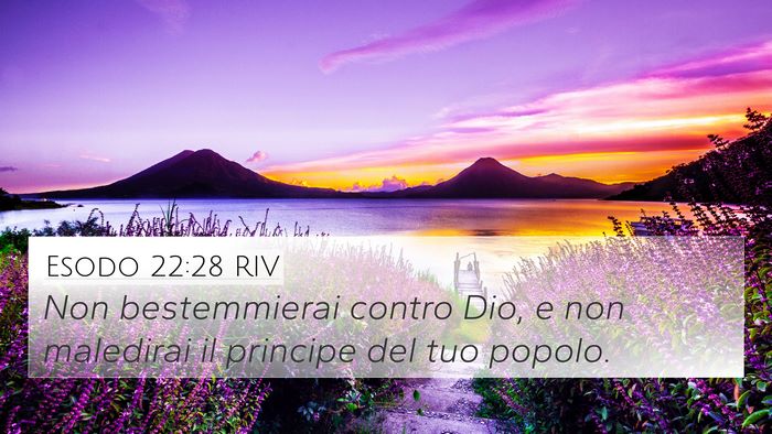 Esodo 22:28 RIV Bible Verse Image
