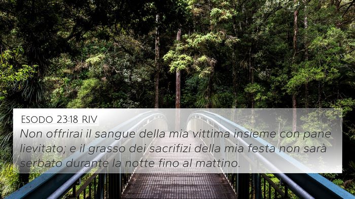 Esodo 23:18 RIV Bible Verse Image