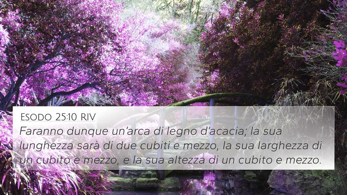 Esodo 25:10 RIV Bible Verse Image