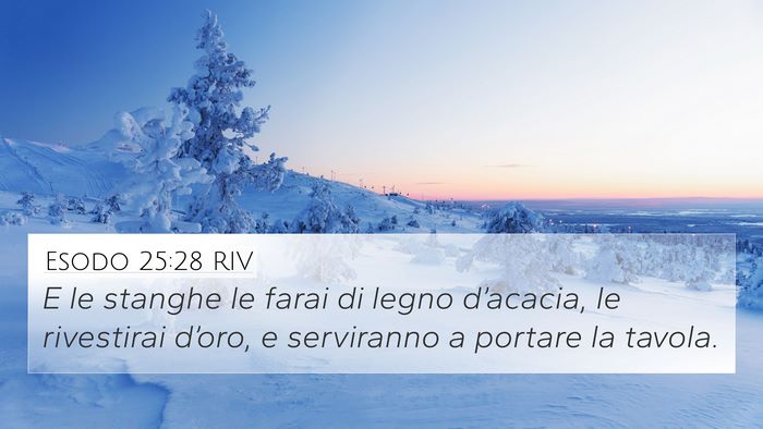 Esodo 25:28 RIV Bible Verse Image