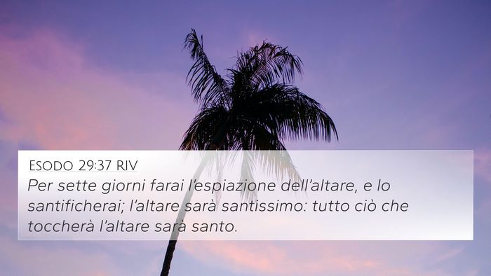 Esodo 29:37 RIV Bible Verse Image