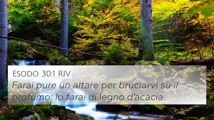 Esodo 30:1 RIV Bible Verse Image