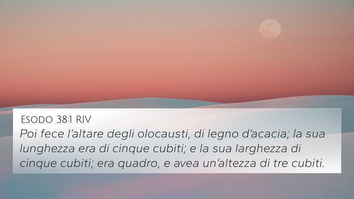 Esodo 38:1 RIV Bible Verse Image