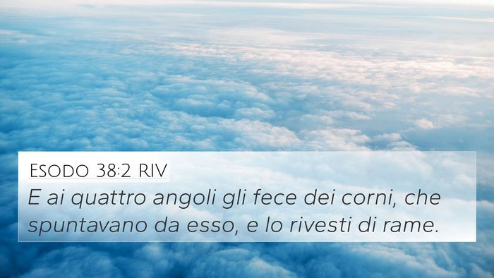 Esodo 38:2 RIV Bible Verse Image