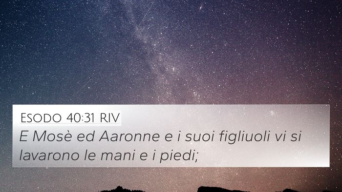 Esodo 40:31 RIV 4K Wallpaper - E Mosè ed Aaronne e i suoi figliuoli vi si - 4K Wallpaper Bible Verse