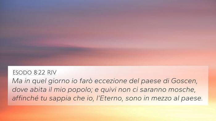 Esodo 8:22 RIV Bible Verse Image