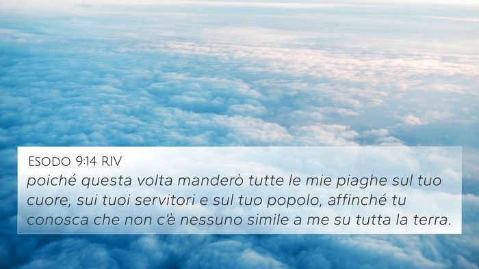 Esodo 9:14 RIV Bible Verse Image