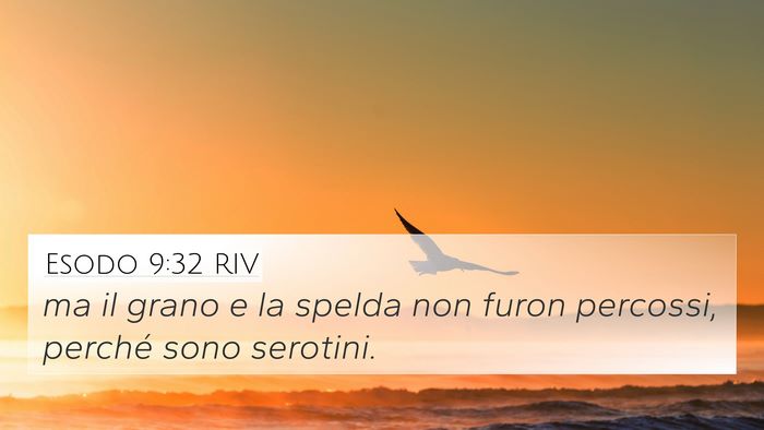 Esodo 9:32 RIV Bible Verse Image