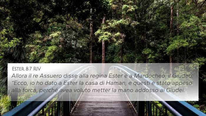 Ester 8:7 RIV Bible Verse Image
