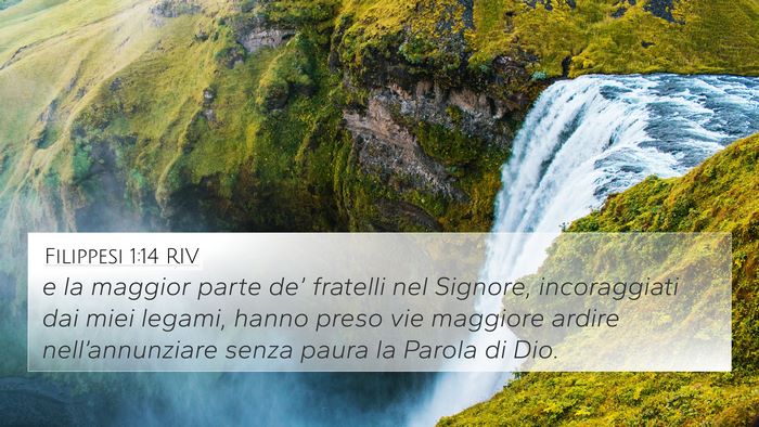 Filippesi 1:14 RIV Bible Verse Image
