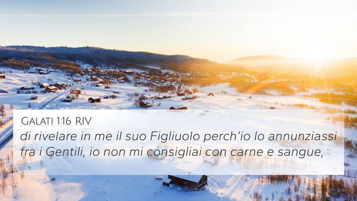 Galati 1:16 RIV Bible Verse Image