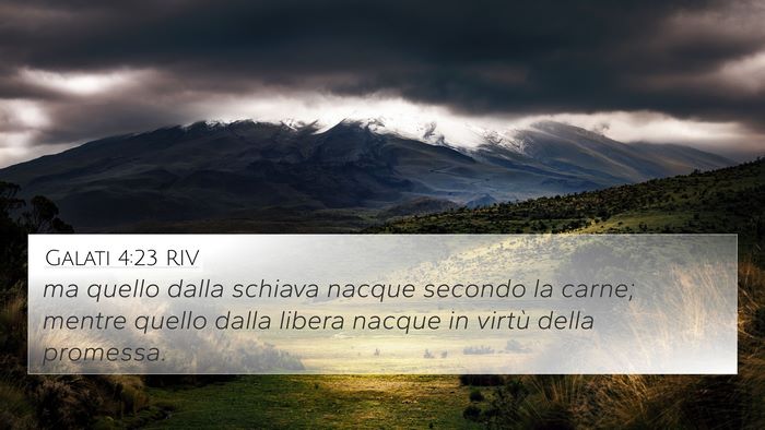 Galati 4:23 RIV Bible Verse Image