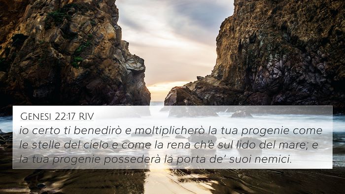 Genesi 22:17 RIV Bible Verse Image