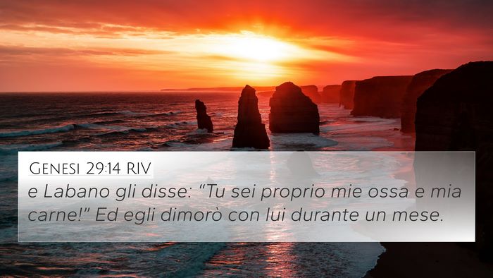 Genesi 29:14 RIV Bible Verse Image