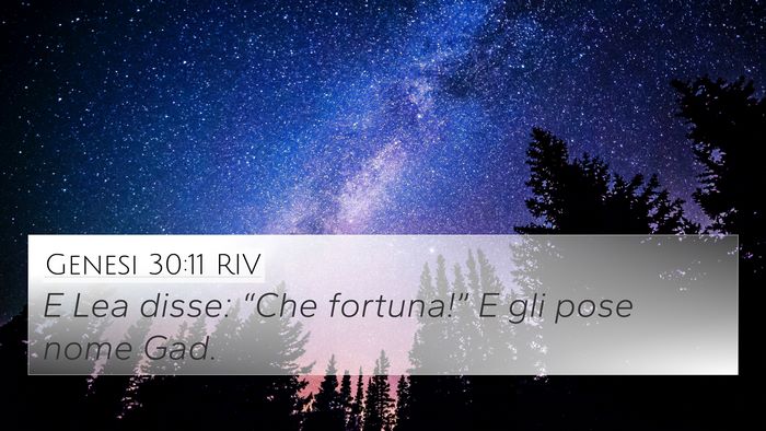 Genesi 30:11 RIV 4K Wallpaper - E Lea disse: “Che fortuna!” E gli pose nome - 4K Wallpaper Bible Verse