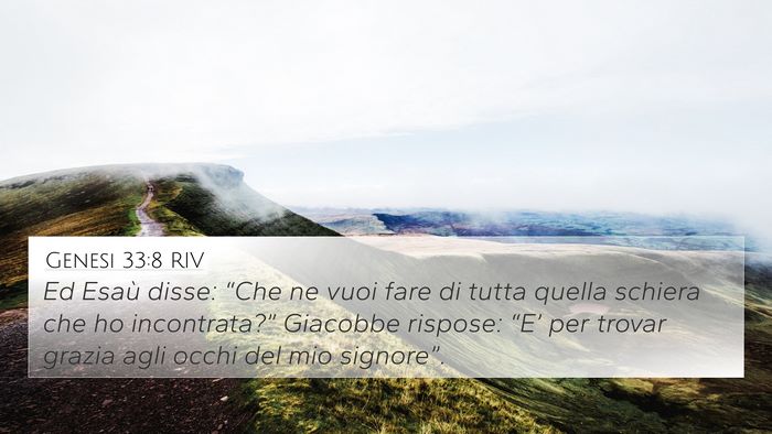 Genesi 33:8 RIV Bible Verse Image