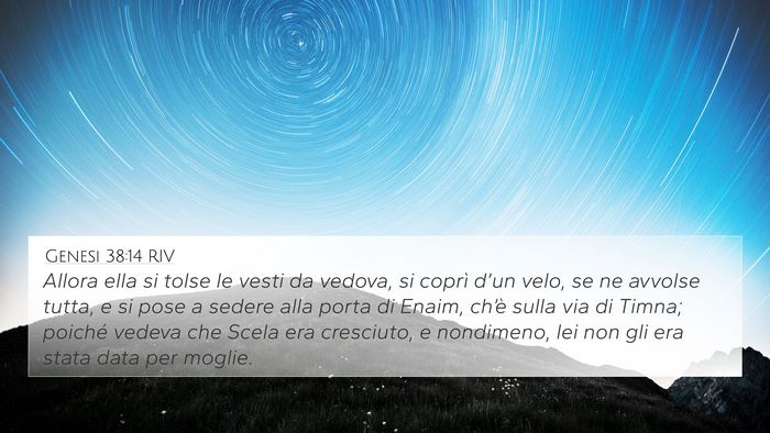 Genesi 38:14 RIV Bible Verse Image