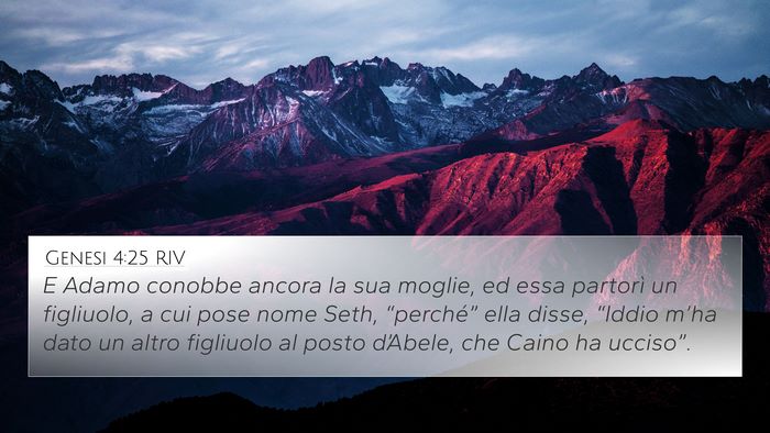 Genesi 4:25 RIV Bible Verse Image