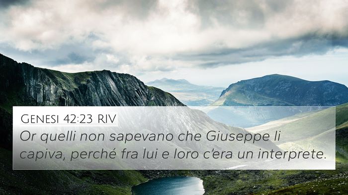 Genesi 42:23 RIV Bible Verse Image