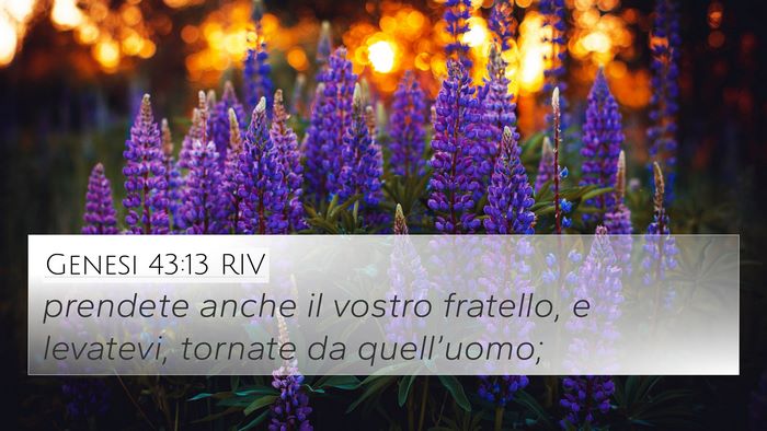Genesi 43:13 RIV 4K Wallpaper - prendete anche il vostro fratello, e levatevi, - 4K Wallpaper Bible Verse