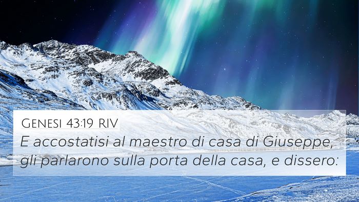 Genesi 43:19 RIV Bible Verse Image