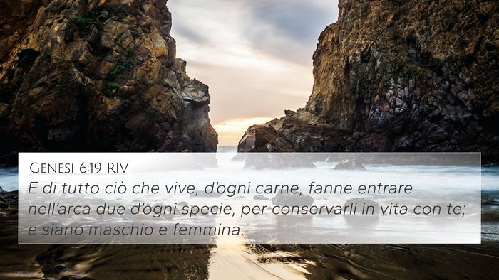 Genesi 6:19 RIV Bible Verse Image