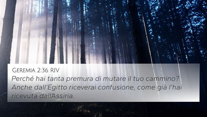 Geremia 2:36 RIV Bible Verse Image