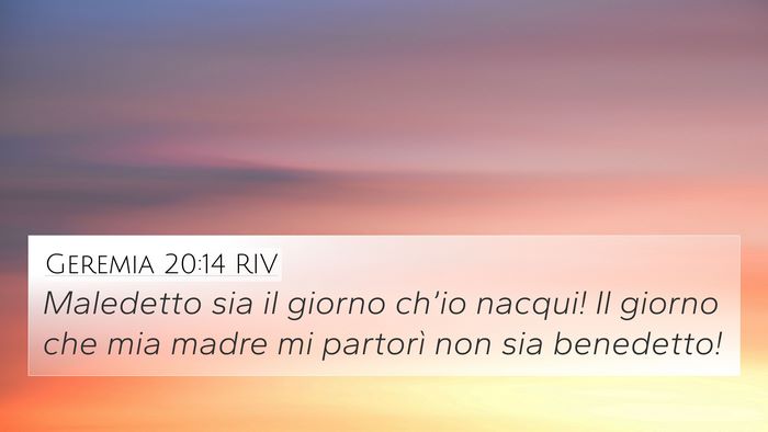 Geremia 20:14 RIV Bible Verse Image