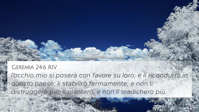 Geremia 24:6 RIV Bible Verse Image