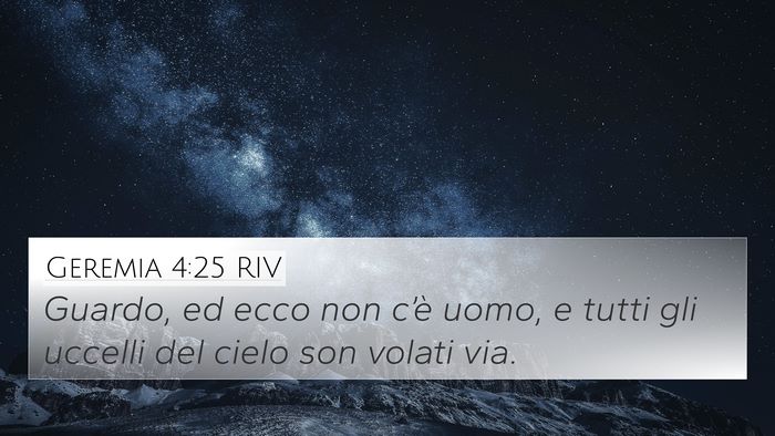 Geremia 4:25 RIV Bible Verse Image