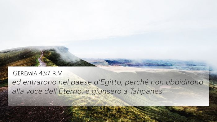 Geremia 43:7 RIV Bible Verse Image