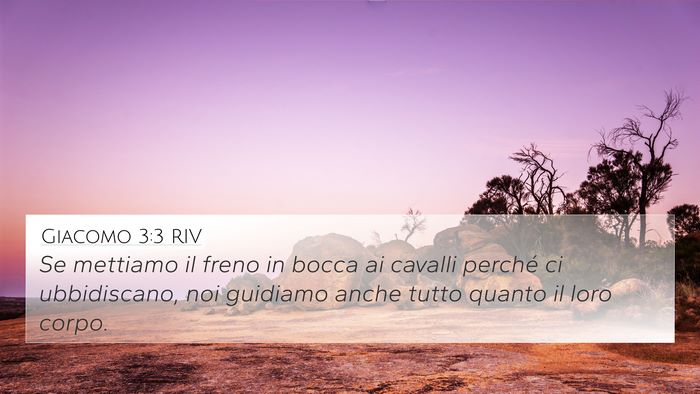 Giacomo 3:3 RIV 4K Wallpaper - Se mettiamo il freno in bocca ai cavalli perché - 4K Wallpaper Bible Verse