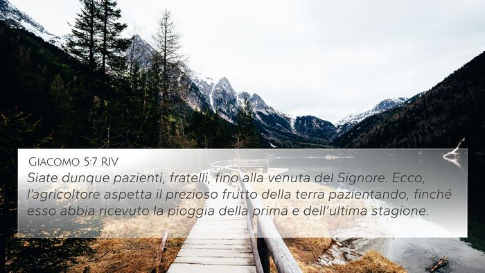 Giacomo 5:7 RIV Bible Verse Image