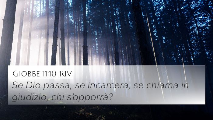 Giobbe 11:10 RIV Bible Verse Image
