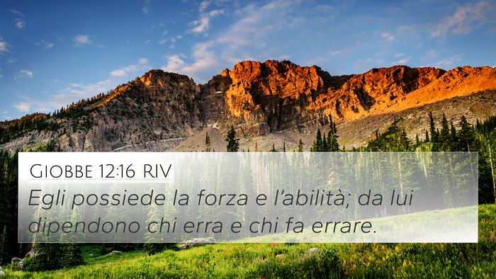 Giobbe 12:16 RIV Bible Verse Image