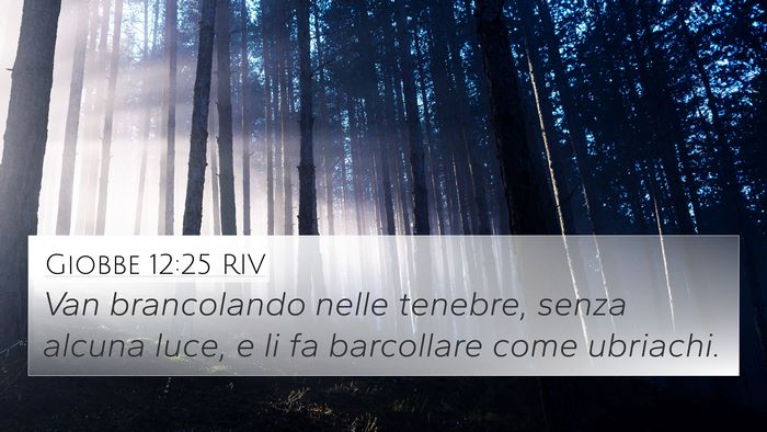 Giobbe 12:25 RIV Bible Verse Image