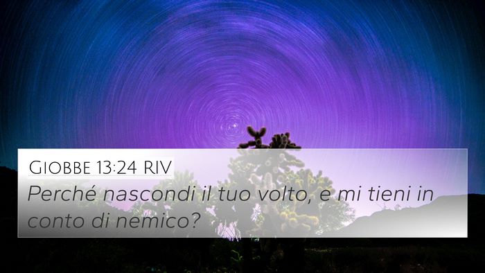 Giobbe 13:24 RIV Bible Verse Image
