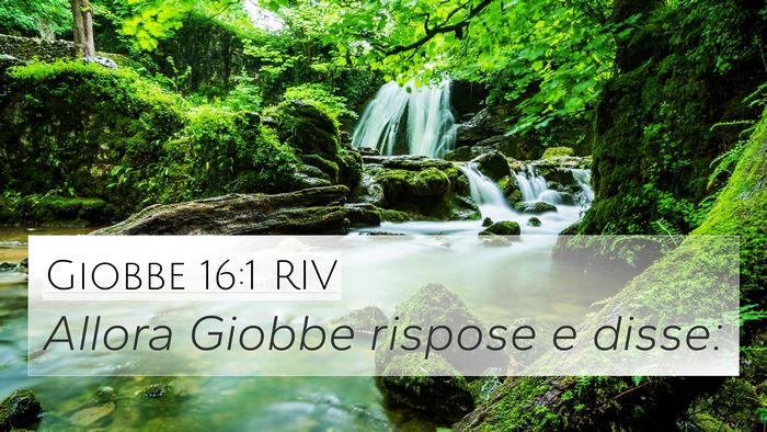 Giobbe 16:1 RIV 4K Wallpaper - Allora Giobbe rispose e - 4K Wallpaper Bible Verse
