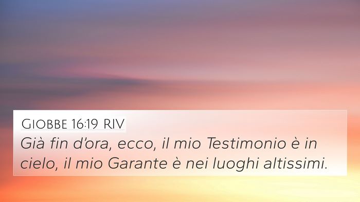 Giobbe 16:19 RIV Bible Verse Image