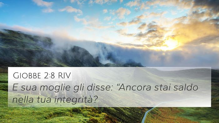 Giobbe 2:8 RIV Bible Verse Image